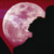 :iconmaster-sesshomaru: