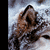 :iconmaster-wolfe: