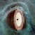 :iconmaster1356: