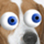 :iconmasterbob1324: