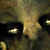 :iconmasterele: