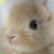 :iconmasterkitten1234: