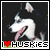 :iconmasterpeing: