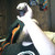 :iconmasterpopo2: