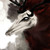 :iconmata999:
