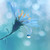:iconmatbell: