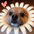 :iconmatchagreentea: