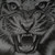:iconmatchbox9: