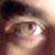 :iconmateopotter: