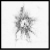 :iconMaterTua: