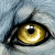 :iconmates-0: