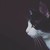 :iconmathiasriverus: