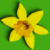 :iconmathibus: