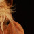 :iconmathildehphotography: