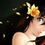 :iconmathotaku: