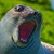 :iconmatilda10: