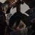 :iconmatilducka: