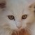 :iconmatilzie: