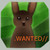 :iconmatinah: