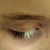 :iconmatitya: