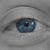 :iconmatrix3313:
