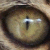:iconmatrixsaix: