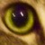 :iconmatsuehikari: