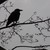 :iconmatsya81: