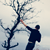 :iconmatt-ikus: