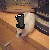 :iconmatt-in-a-hat: