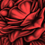 :iconMatt-Reutt: