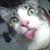 :iconmatt-thermo: