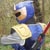 :iconmatt3335: