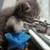 :iconmatt4890: