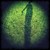 :iconmatta53:
