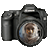 :iconmattcannon: