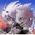 :iconmattchao24: