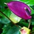 :iconmattecatphoto: