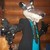 :iconmattfolx: