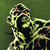 :iconmattgolden: