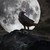 :iconmatthaisravenwing: