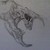 :iconmatthewdunn: