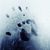 :iconmatthewpoland: