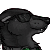 :iconmatthias-sen: