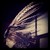 :iconmatthiaslavesson: