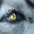 :iconmatthl89: