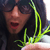 :iconmattranzetta: