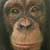 :iconmattstrom41: