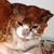 :iconmatttehdawg: