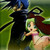 :iconmattudfells: